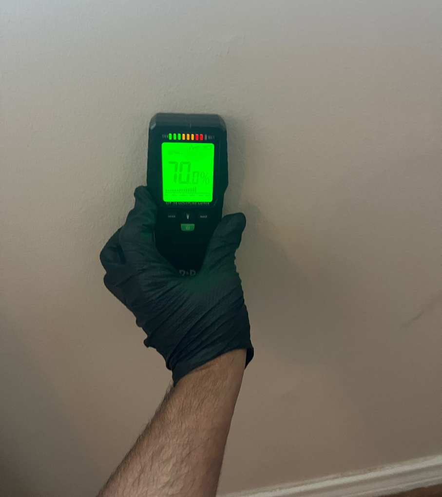 Mold Testing & Inspection Experts