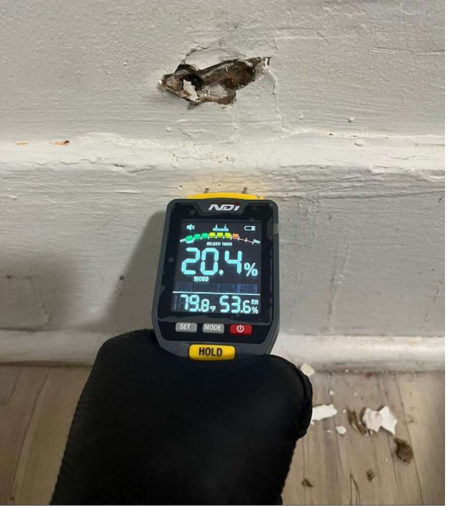 Mold Inspection & Testing Services in Los Angeles