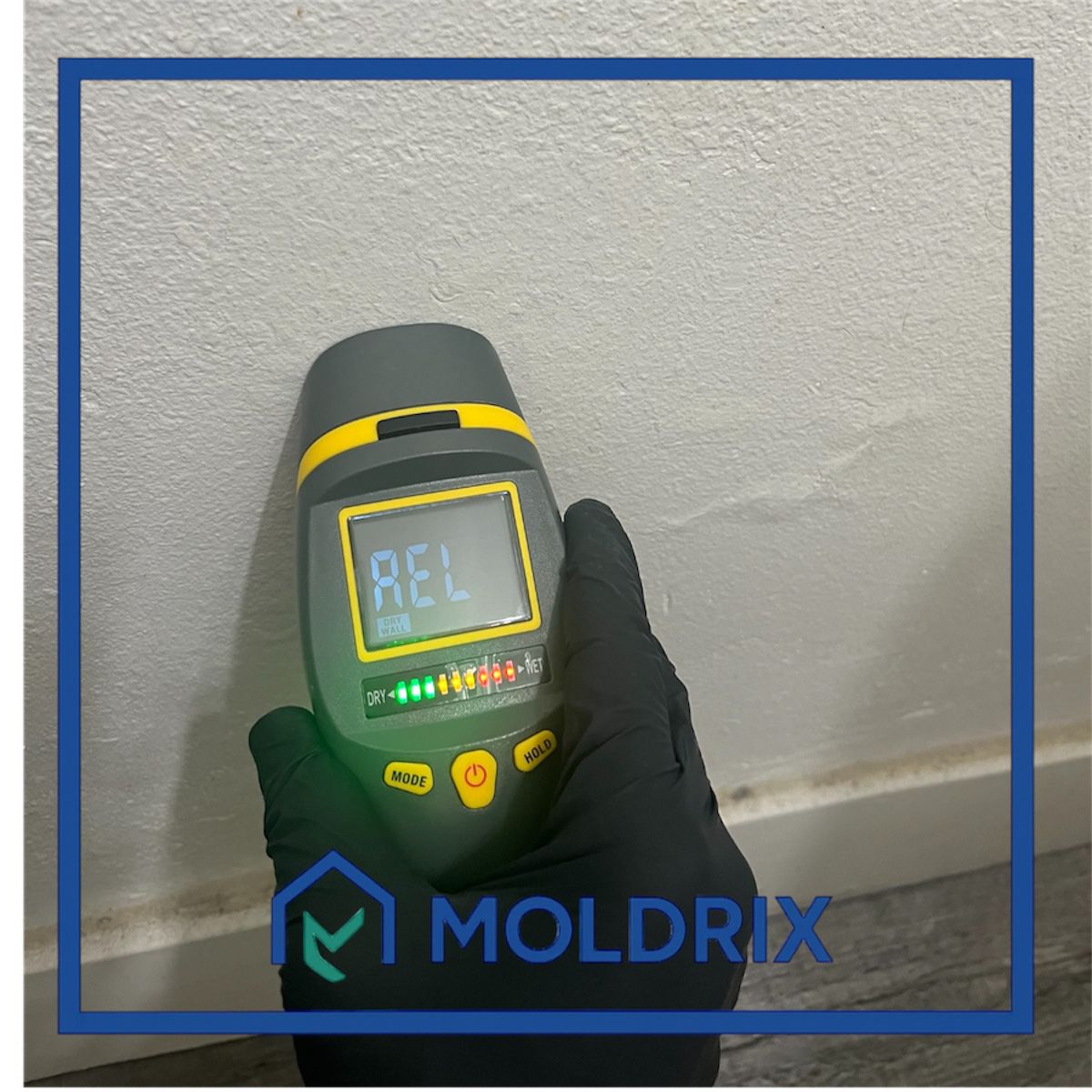 professional mold inspection los angeles orange county