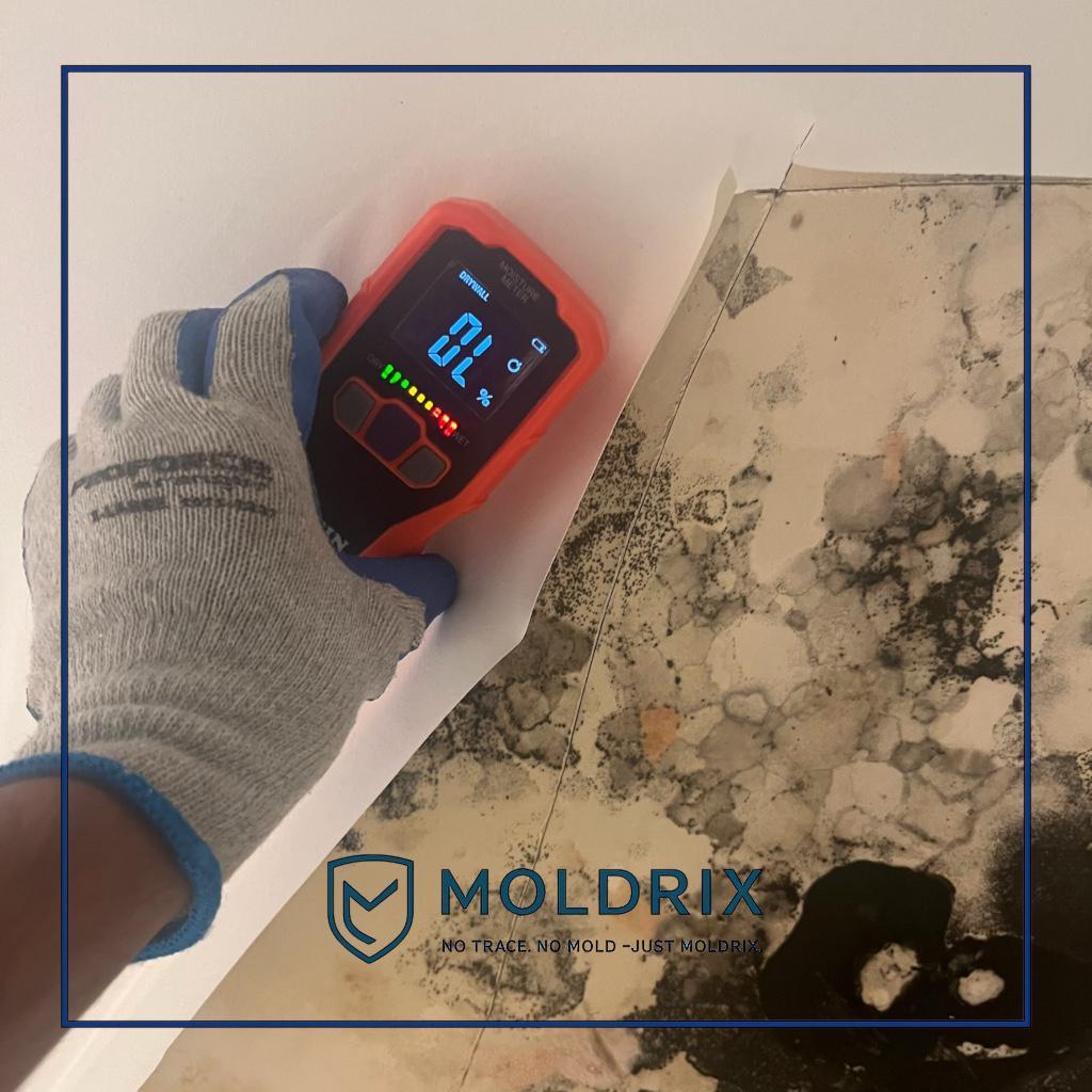 Moldrix Inspection Specialists