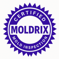 mold inspection certificate mold inspection certificate